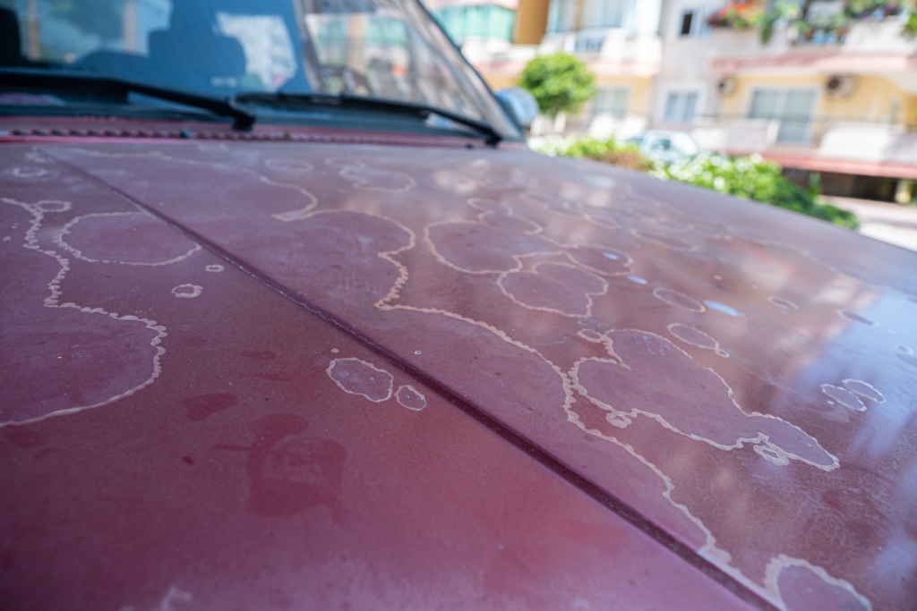 efectos-de-la-intemperie-danos-en-la-carroceria-rm-detailing-peñarroya-pueblonuevo-espiel